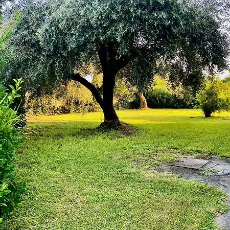 Ionian By Bruskos Hotel