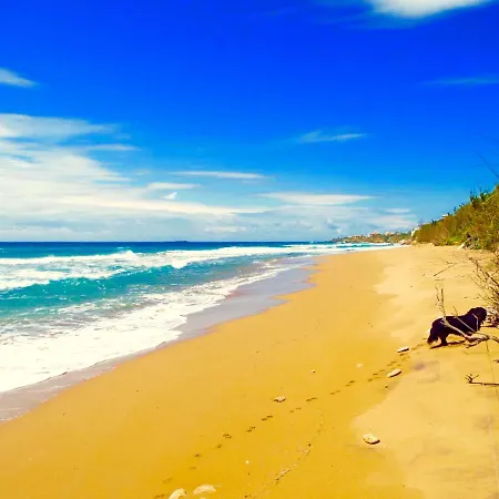 Ionian By Bruskos Agios Georgios (Corfu)